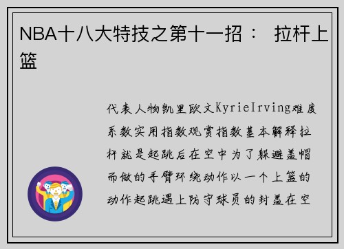 NBA十八大特技之第十一招 ： 拉杆上篮